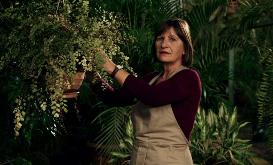 294926-jpg-r_1280_720-f_jpg-q_x-xxyxx