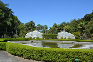 jardim-botanico