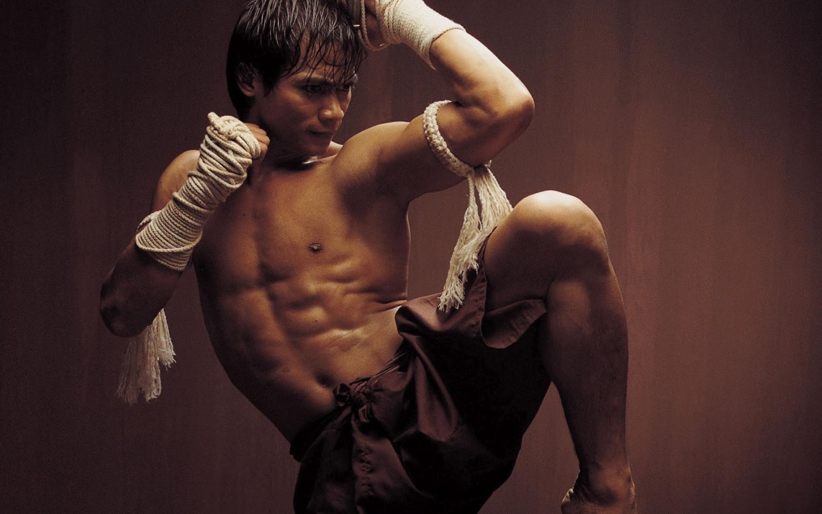 O cinema de artes marciais e seus novos representantes
