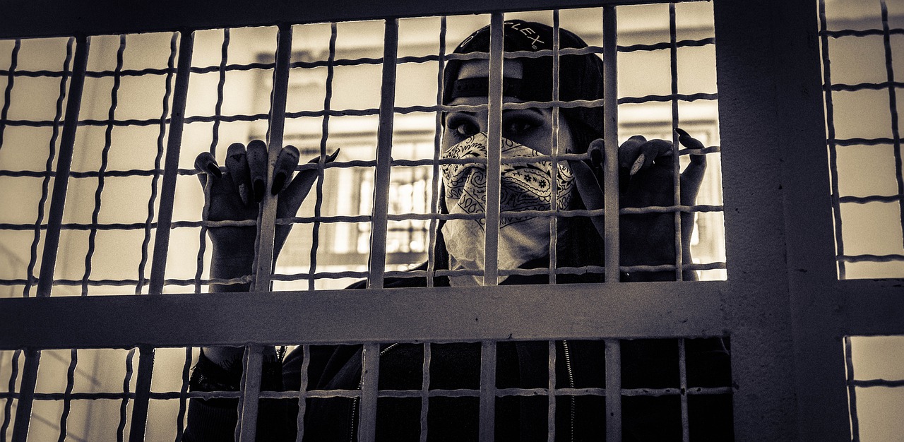 Autoria: A culpa é minha