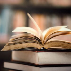 Dia Nacional do Livro: conheça 31 obras que auxiliam a empreender com sucesso