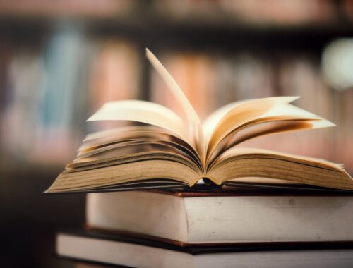 Dia Nacional do Livro: conheça 31 obras que auxiliam a empreender com sucesso