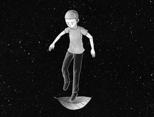 Transformei o cabresto em liberdade