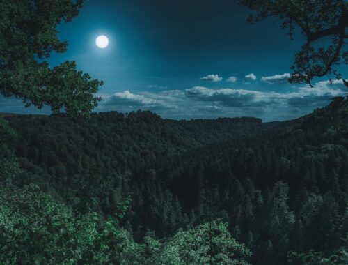 Quero querer em dobro, mas só se você quiser também