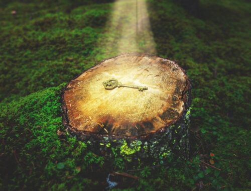 Lei da atração: o que é, como funciona, do que se trata o segredo