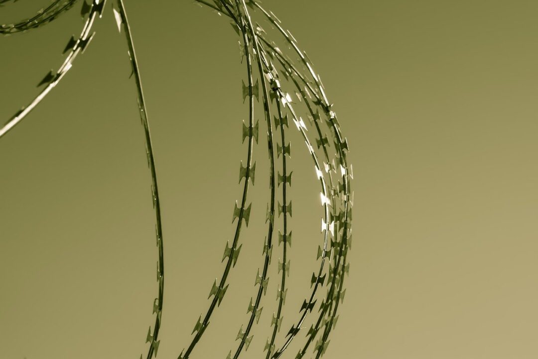 Dia de Combate ao Trabalho Escravo: 5 livros para entender a luta contra a escravidão contemporânea