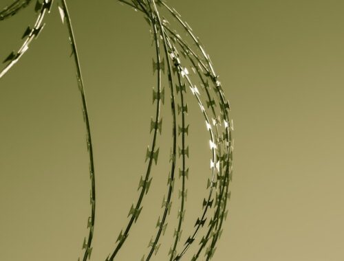 Dia de Combate ao Trabalho Escravo: 5 livros para entender a luta contra a escravidão contemporânea