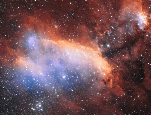 O que é cringe para cada signo?