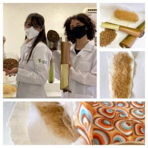 Estudantes criam absorvente menstrual ecológico com custo baixíssimo