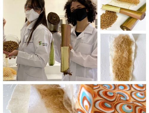 Estudantes criam absorvente menstrual ecológico com custo baixíssimo