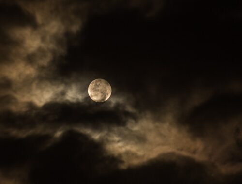 Horóscopo semanal: 08 de maio a 14 de maio