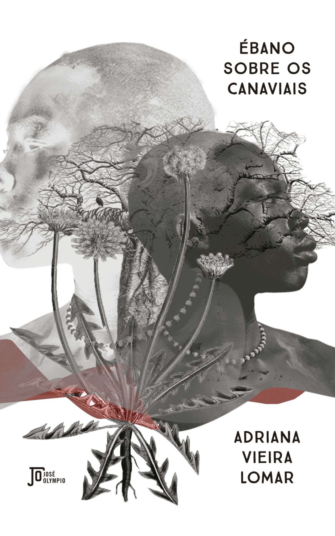 Vencedora do Prêmio Kindle reconstrói memória negra da família