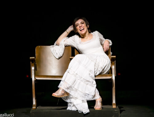 Fenômeno de público e crítica, "Elis, A Musical" chega a Belo Horizonte para celebrar dez anos de sucesso