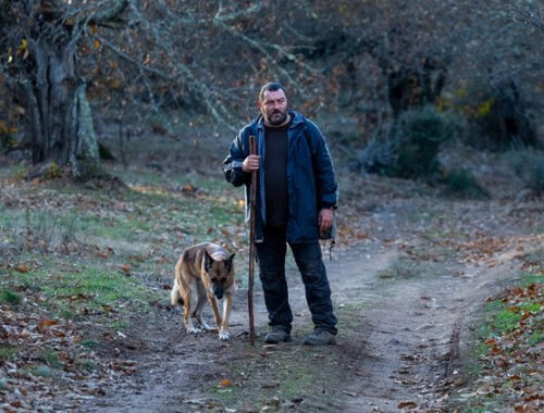 "As Bestas" estreia exclusivamente nos cinemas nesta quinta-feira, 25/1