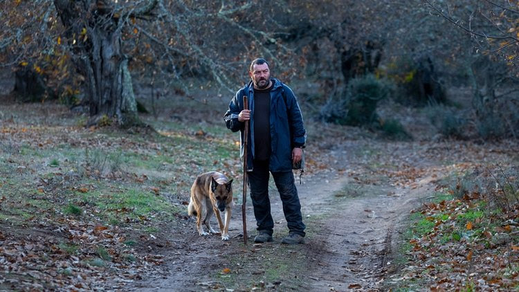 "As Bestas" estreia exclusivamente nos cinemas nesta quinta-feira, 25/1