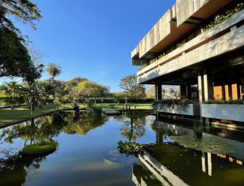 Em celebração dos 50 anos da Revolução dos Cravos, em 2024, a Embaixada de Portugal no Brasil apresenta “Arte no Jardim”