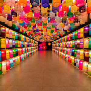 Luzes da Coreia - Festival de Lanternas de Jinju no MAC Niterói